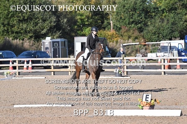 BPP_8318 - SHORT ARENA
