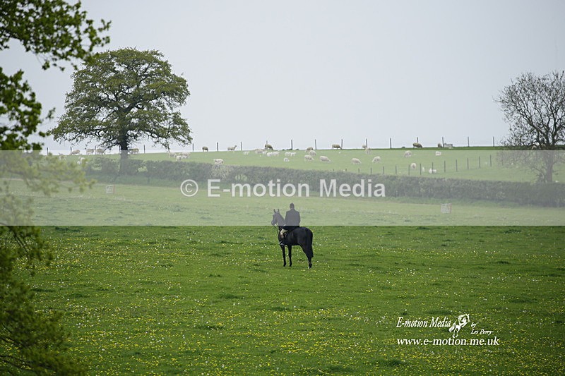 PtP 020522 432 - Mollington Races Point-to-Point 02/05/22