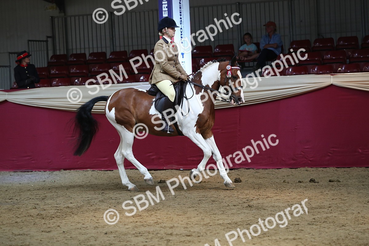 SBM_08295 - Class 11R Regional Ridden Veteran