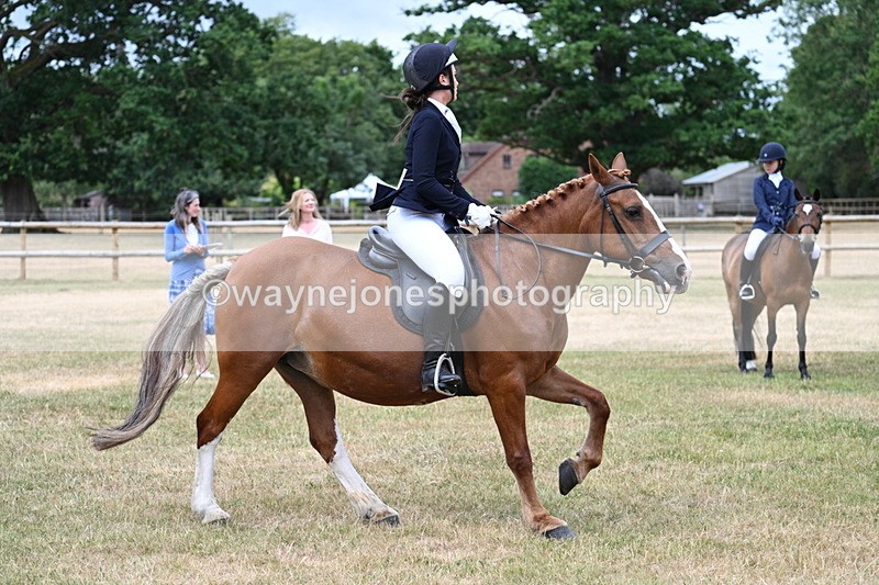 WJ7_0564 - Class 2 Best rider