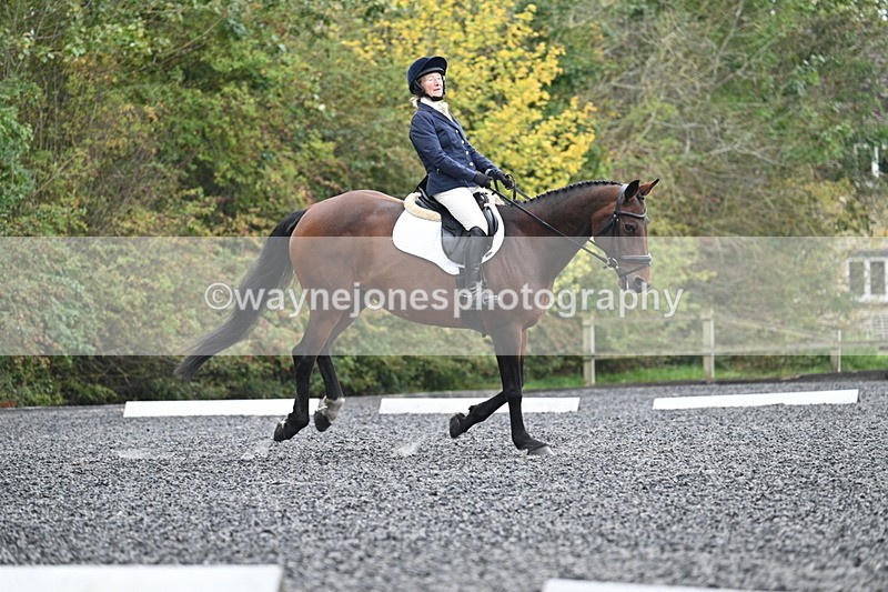 WJ7_4127 - Time 11:43 to 12:09