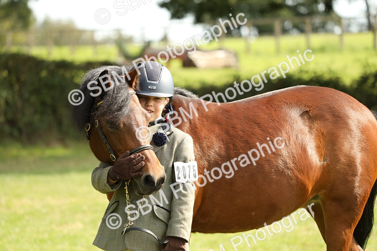 SBM_68556 - S40 - Junior Handler 9-12 Years