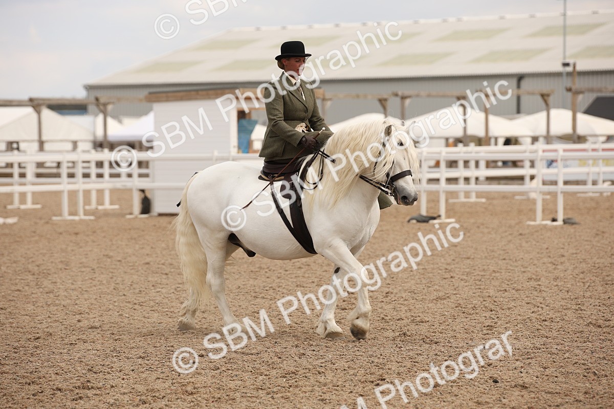 SBM_05406 - Class 22 SSA Equitation