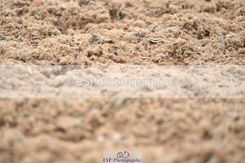 250705-175525-02495 - N1 Section BDNOV1 1350 to 15.28