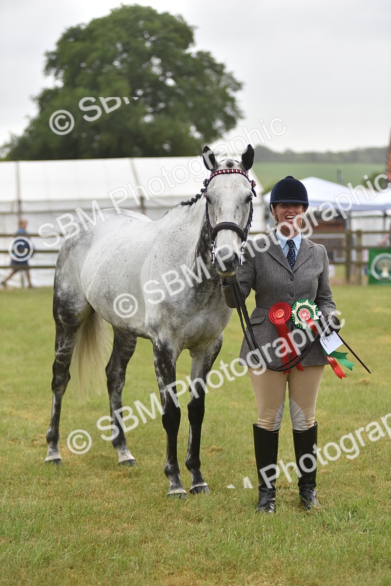 SBM_10672 - Class 109 - Retraining of Racehorses in Hand