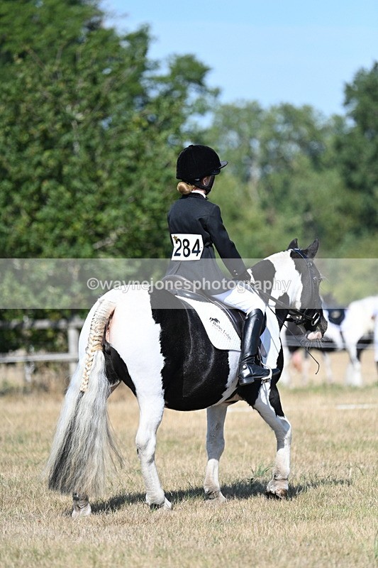 WJ7_9411 - Time 10:08 to 10:13