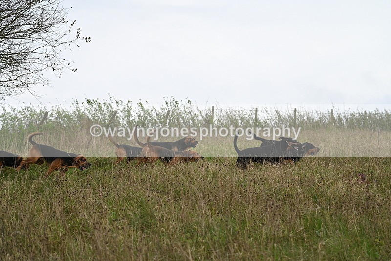 WJ7_9818 - Camera 1 & Last fence