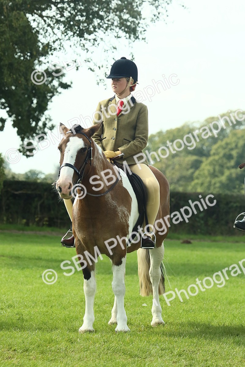 SBM_67566 - S56 - Coloured Pony Ridden