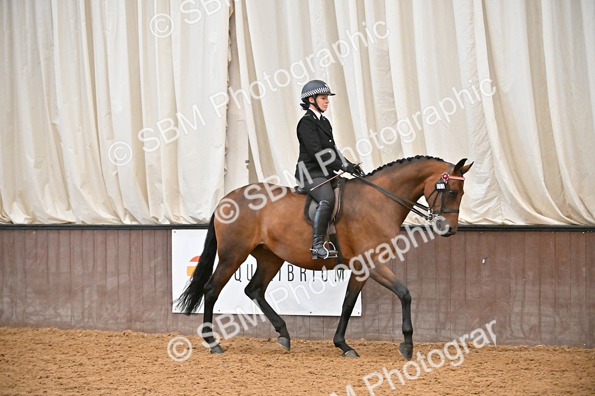 SBM_002337 - Class 22 - BSHA Ridden Hack & Riding Horse