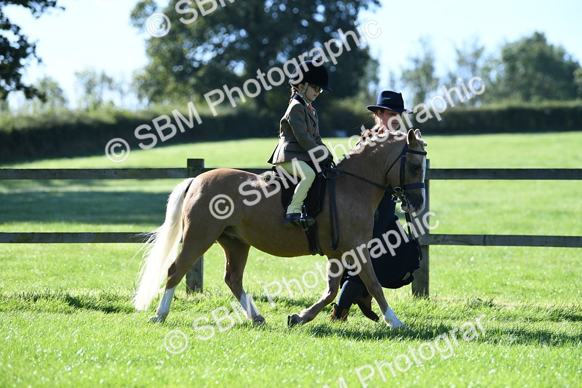 SBM_36818 - S18 - Novice & Newcomers Lead Rein Pony
