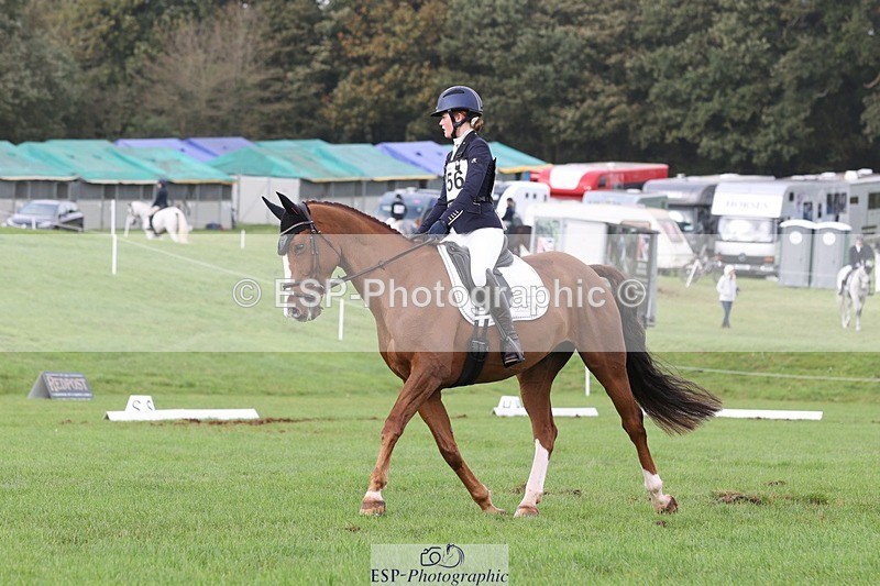 231019-153556-04934 - 556-SHANNONDALE.MOCHA-Lucy.Davies-DR