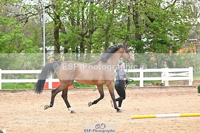 250423-162354-02136 - 4pm to 5pm