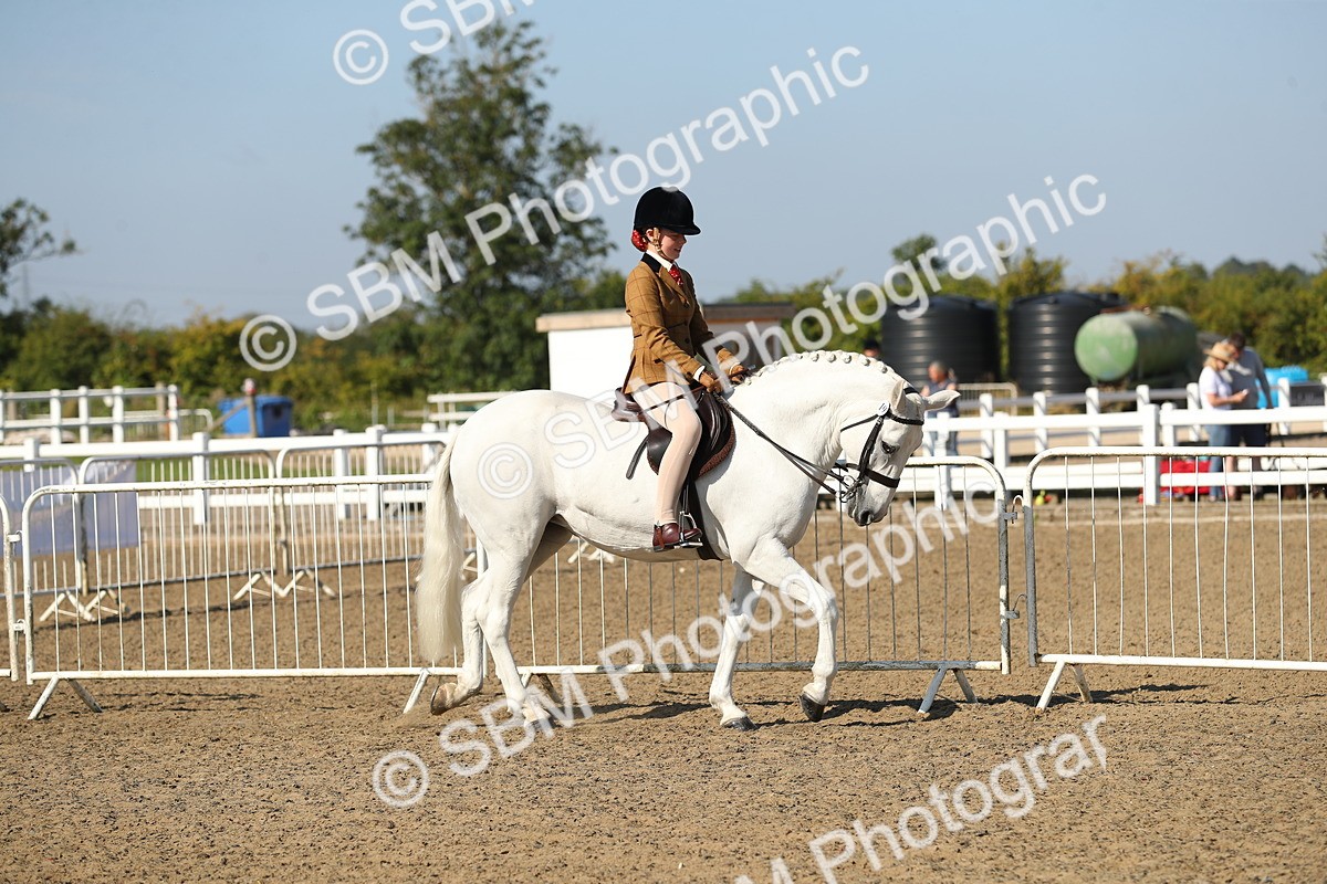 SBM_02185 - Class 43 Ridden Competition Horse/Pony