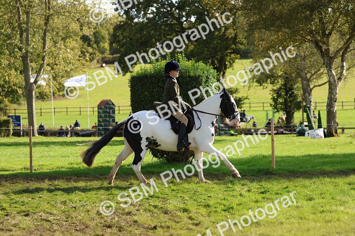 SBM_52404 - S13 - Pony Club Pony