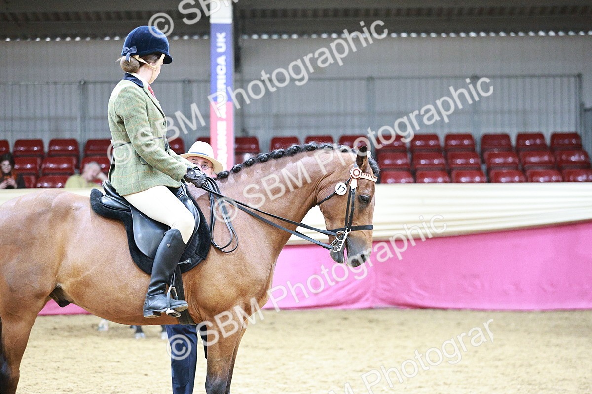 SBM_03544 - Class 6A Area Ridden Pre-Vet