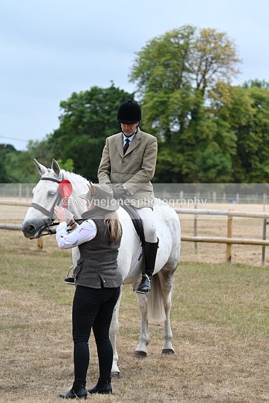 WJ7_0964 - Class 7 Riding Club Show Horse