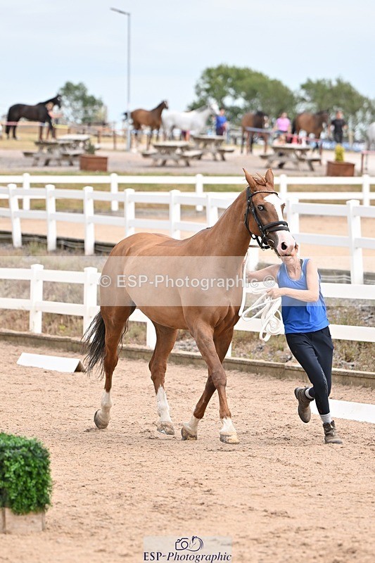 250716-150631-01628 - Trot Up 2.30 to 3.30