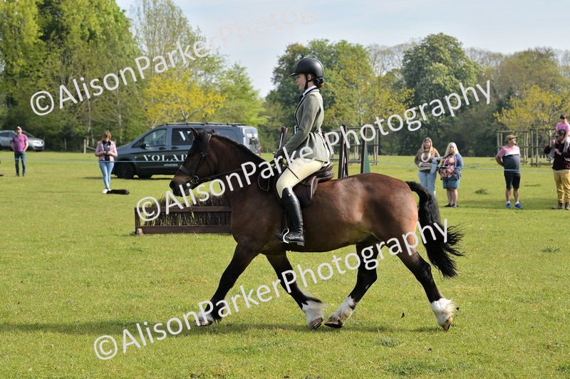 20260426-0916 - Class 18 - Novice Showing