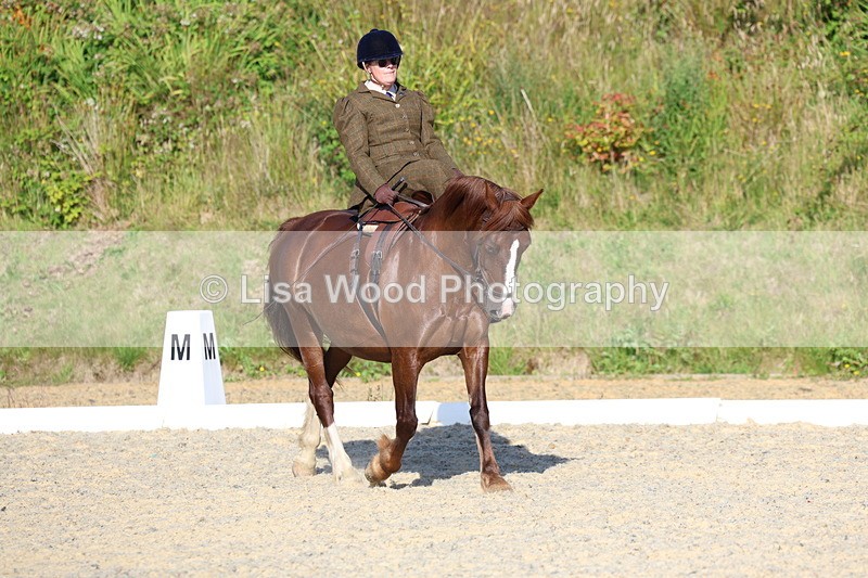 3E7A3473 - Class 2: Intro 1 2024 Section B