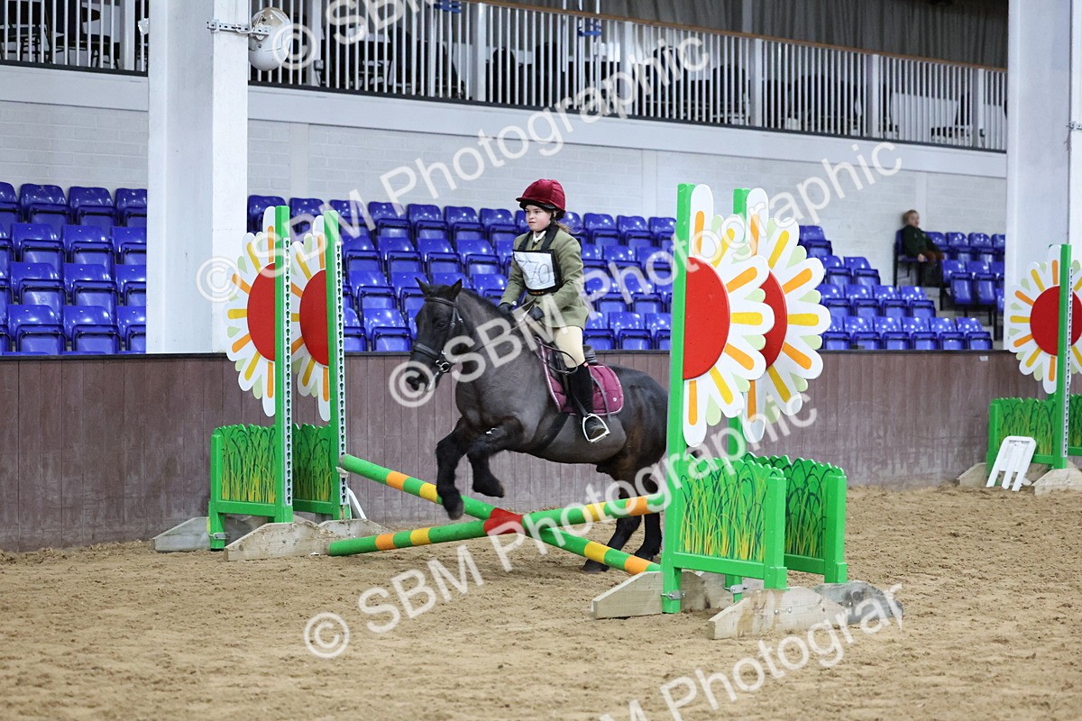 SBM_000263 - Class 2 - 50cm