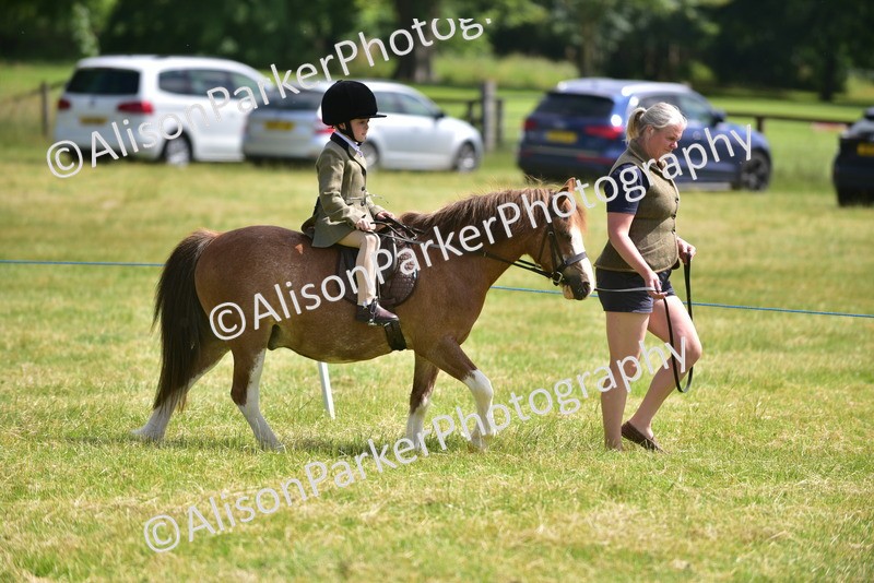 20260614-1112 - Class 11a - Lead Rein Pony (Unplaited)