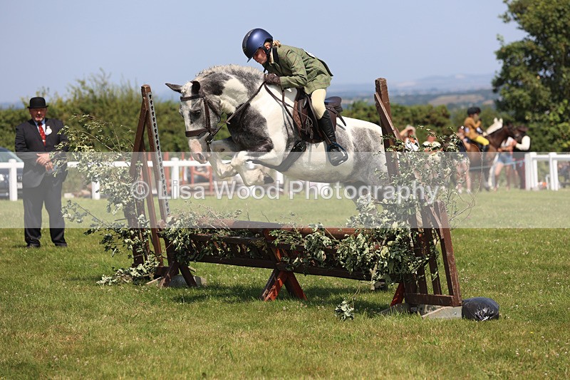 JPP_3200 - Class 22: Working Hunter 70cm