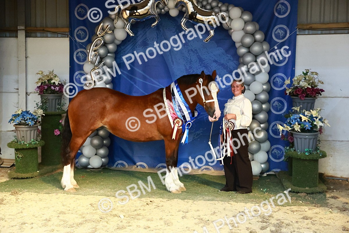 SBM_17999 - M&M Supreme Final Champ