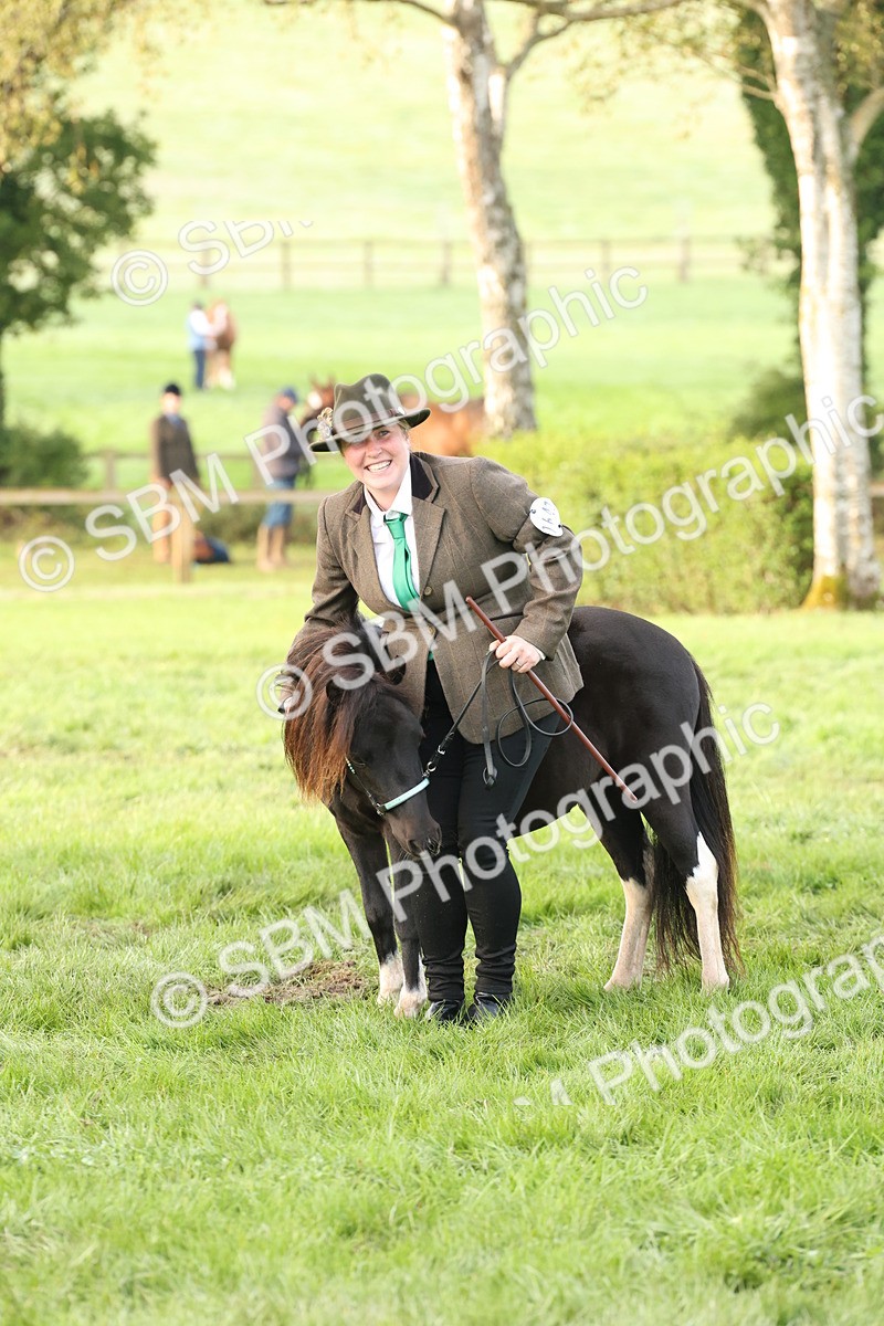 SBM_54418 - S51 - Foreign Breeds In Hand