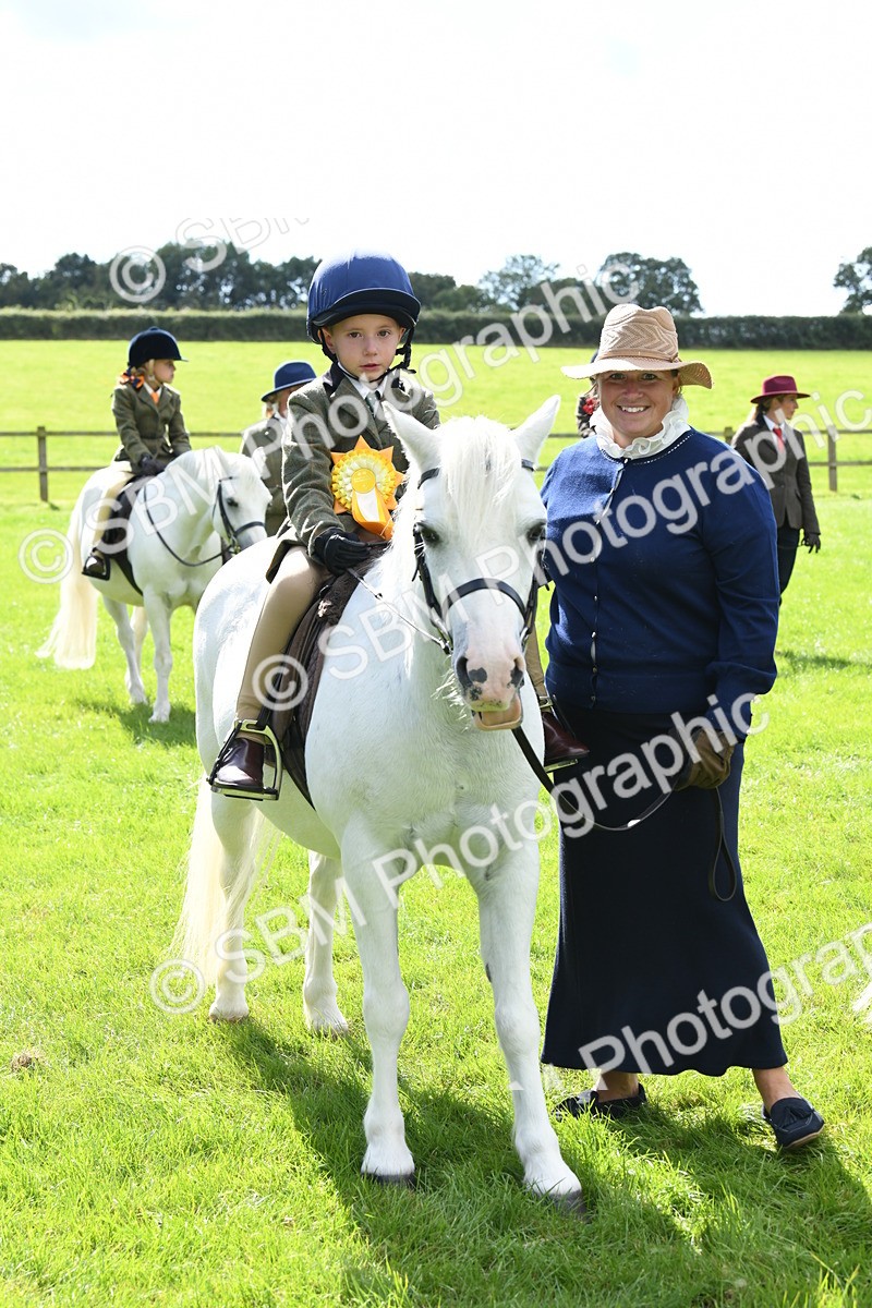 SBM_42663 - S20 - Lead Rein Mountain & Moorland Pony