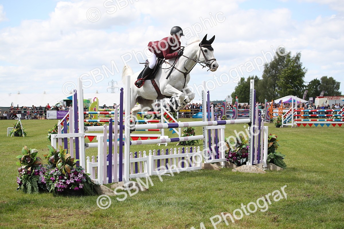 SBM_17488 - Class 208 - Senior Foxhunter 1.20m Open