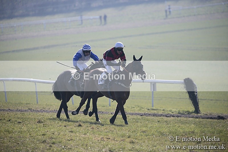 PtP 240218 38 - Vine & Craven Hunt Point-to-Point Barbury racecourse 24/02/18