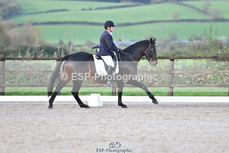 231105-161024-04045 - Cls 4 Novice 24 15.24 to 16.35 break