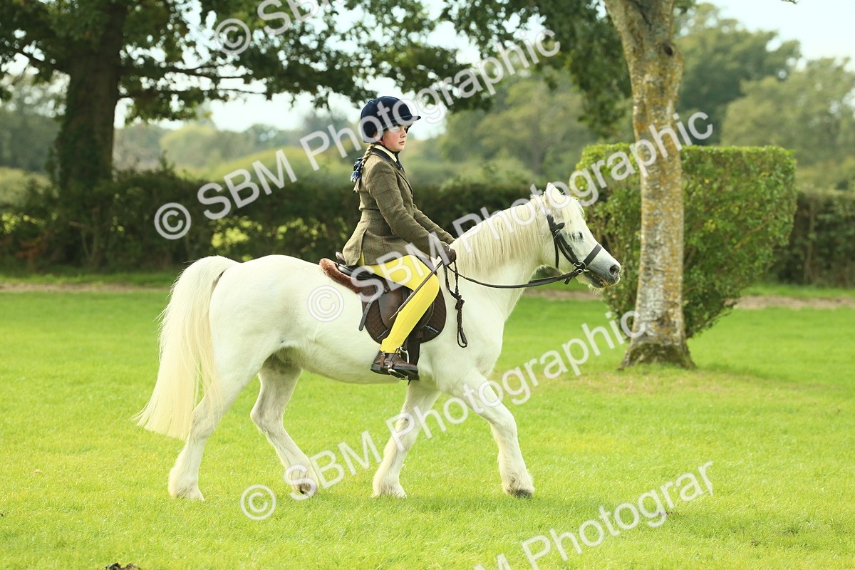 SBM_69816 - S59 - Mountain & Moorland Ridden Small Breeds