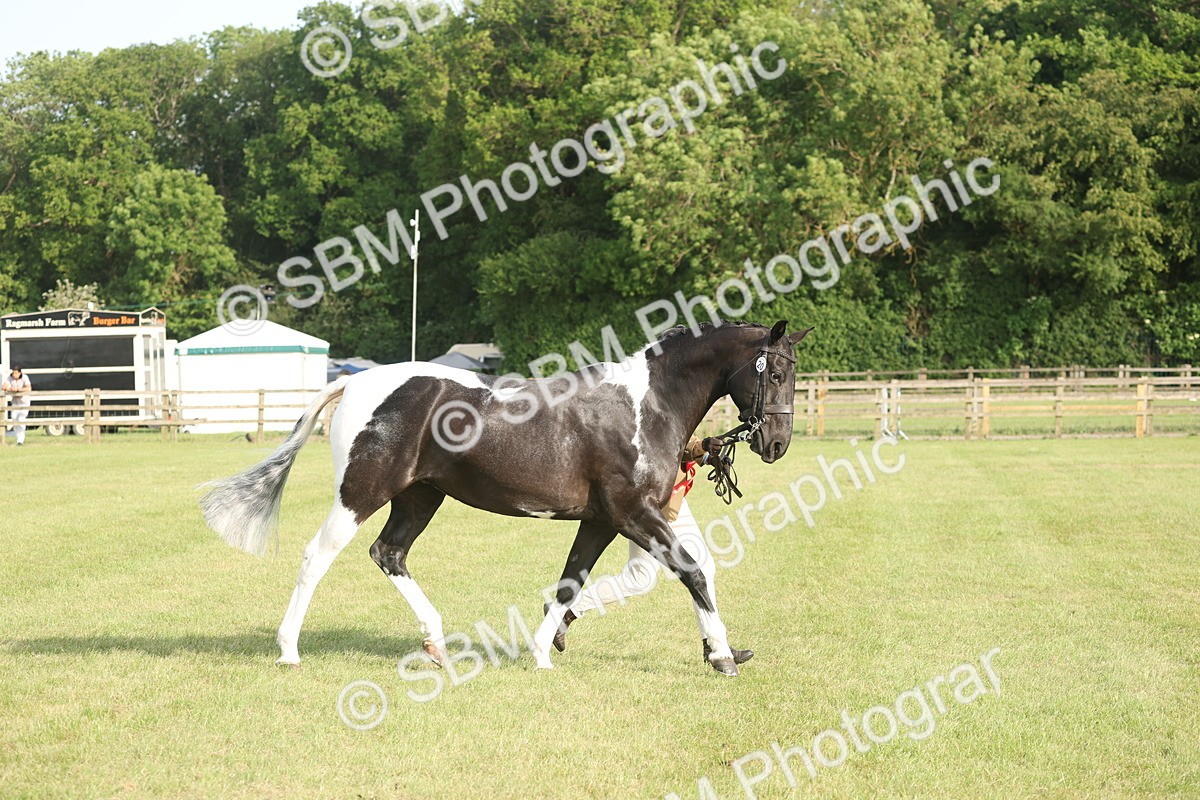 SBM_10561 - Class 33-38 - SSADL RIHS Qualifiers