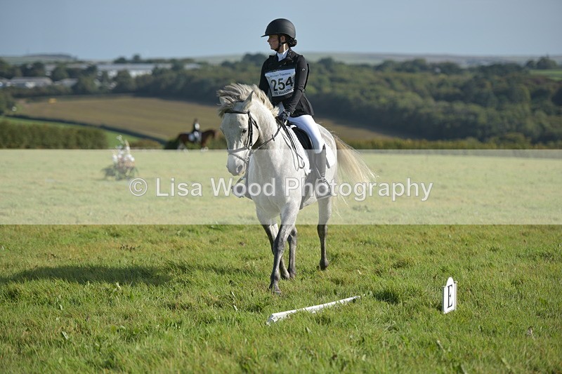 RAY_7395 - Class 2B: Trekenning Open: Dressage