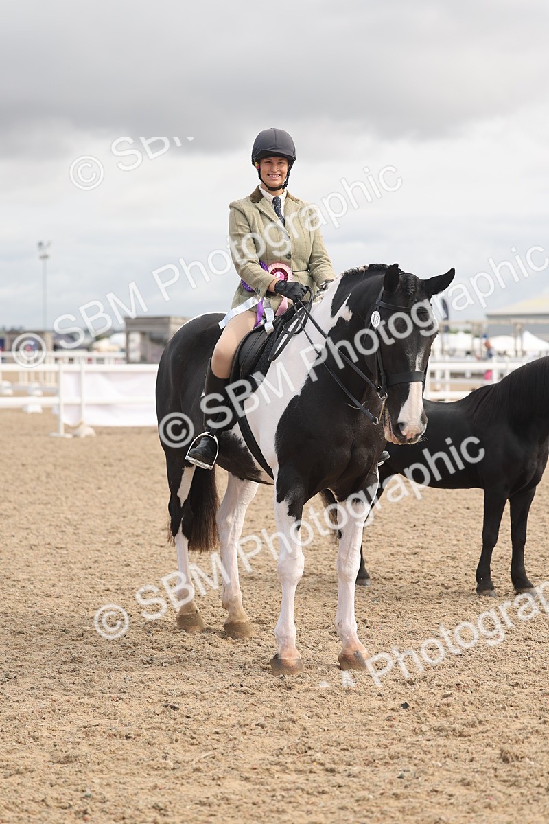 SBM_04517 - Class 18 - Handsomest Gelding (IH or Ridden)