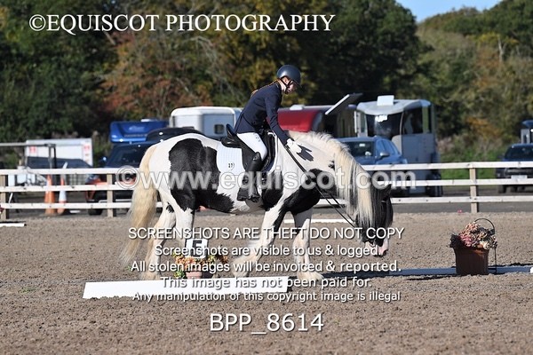 BPP_8614 - SHORT ARENA INTRO 3