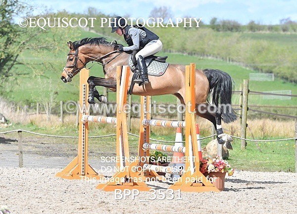 BPP_3531 - CLASS 7 Senior Foxhunter/ 1.20m Open