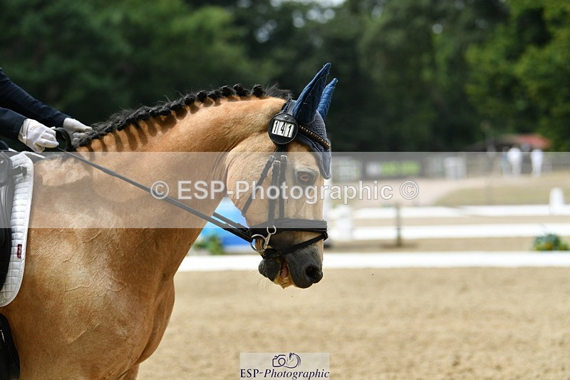 250718A-122722-01453 - 141-Chloe.Dunn-Towerhill.Shamie