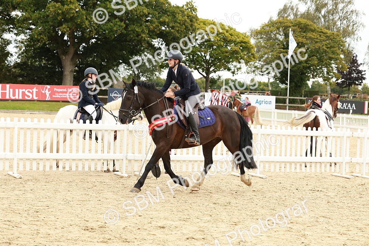 SBM_65382 - Supreme Championship 50cm & 55cm
