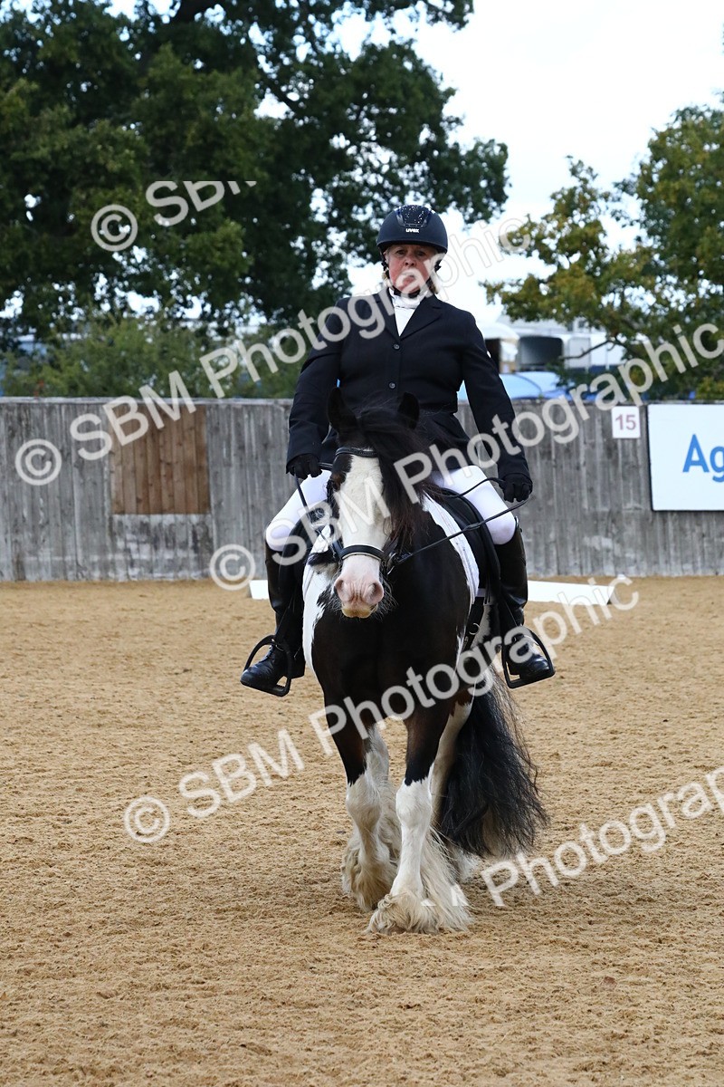 SBM_21037 - D5 - Small Tour Championshop Intro 2