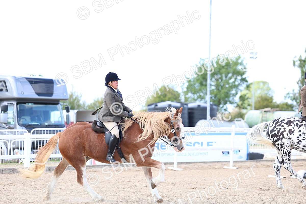 SBM_17145 - Class 315 - Best Horse - Rider Combination