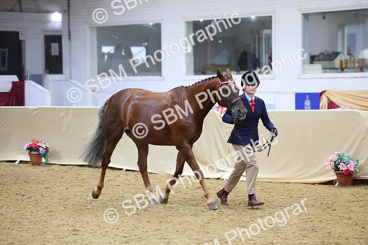 SBM_20929 - Class 902 - Supreme Final IH Veteran