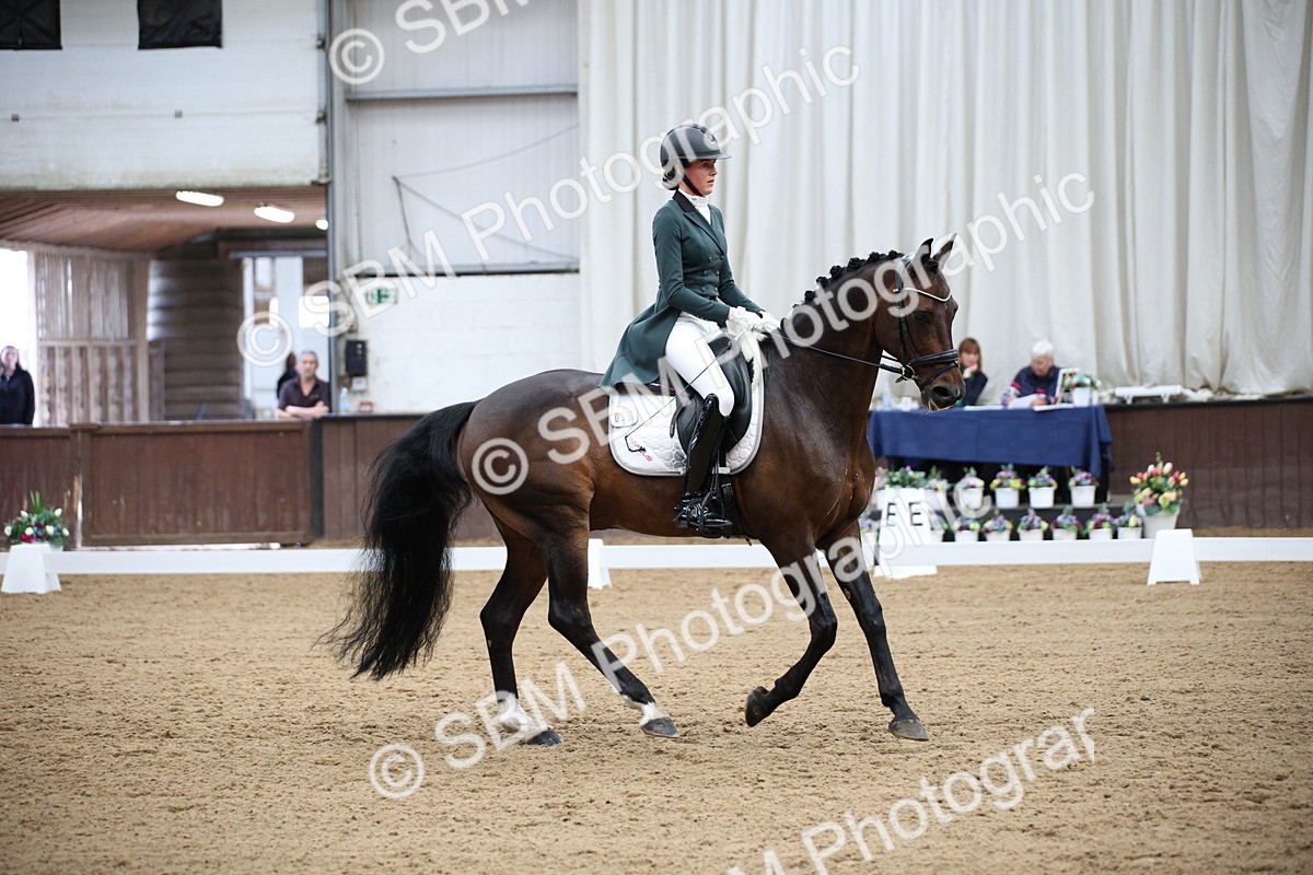 SBM_008019 - Class 12 - FEI PSG 14.46-15.50