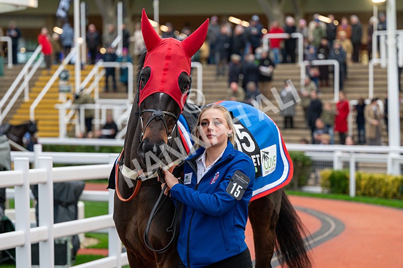 161125-Race 5-Helnwein-1659 - Race 5