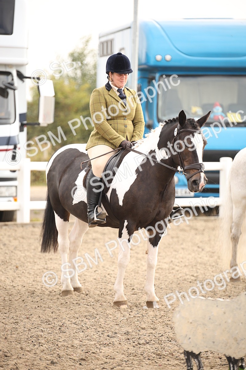 SBM_09823 - Class 401 Riding Club Pony