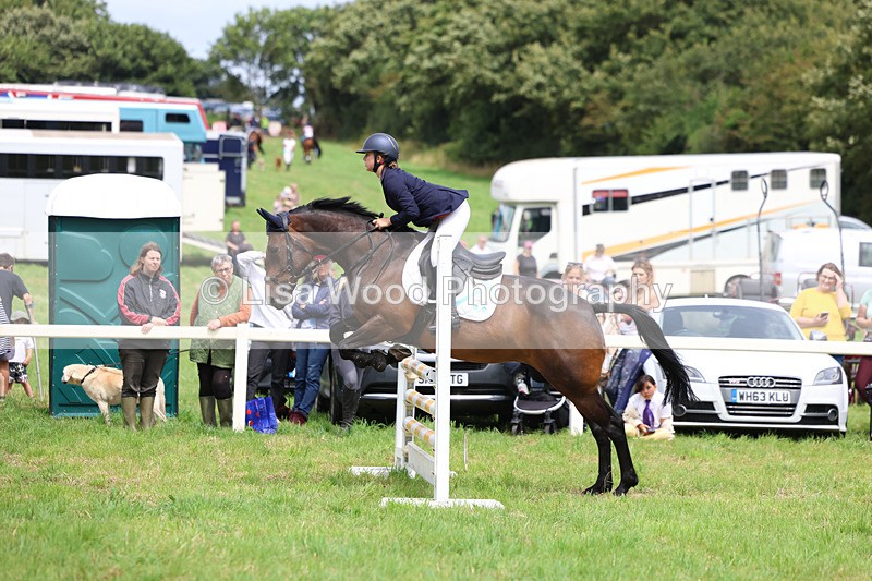3E7A6951 - Class 5: Senior British Novice/90cm open