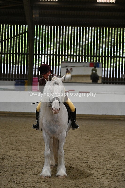 WJ7_4368 - Class 17 Ridden Cob