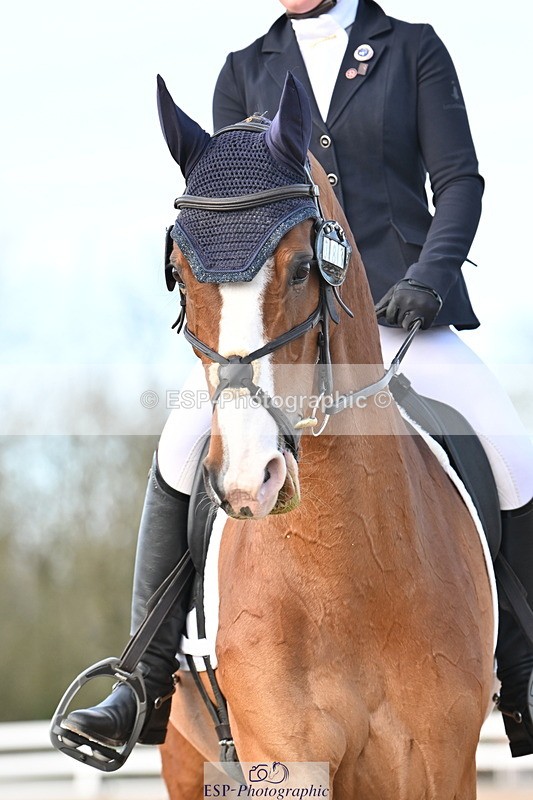 240324A-160632-04741 - Novice 28, 15.33 to 16.15