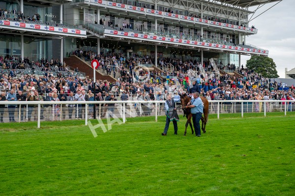210824-Race 4-City Of Troy-5211 - Race 4 3.35pm Juddmonte International Stakes